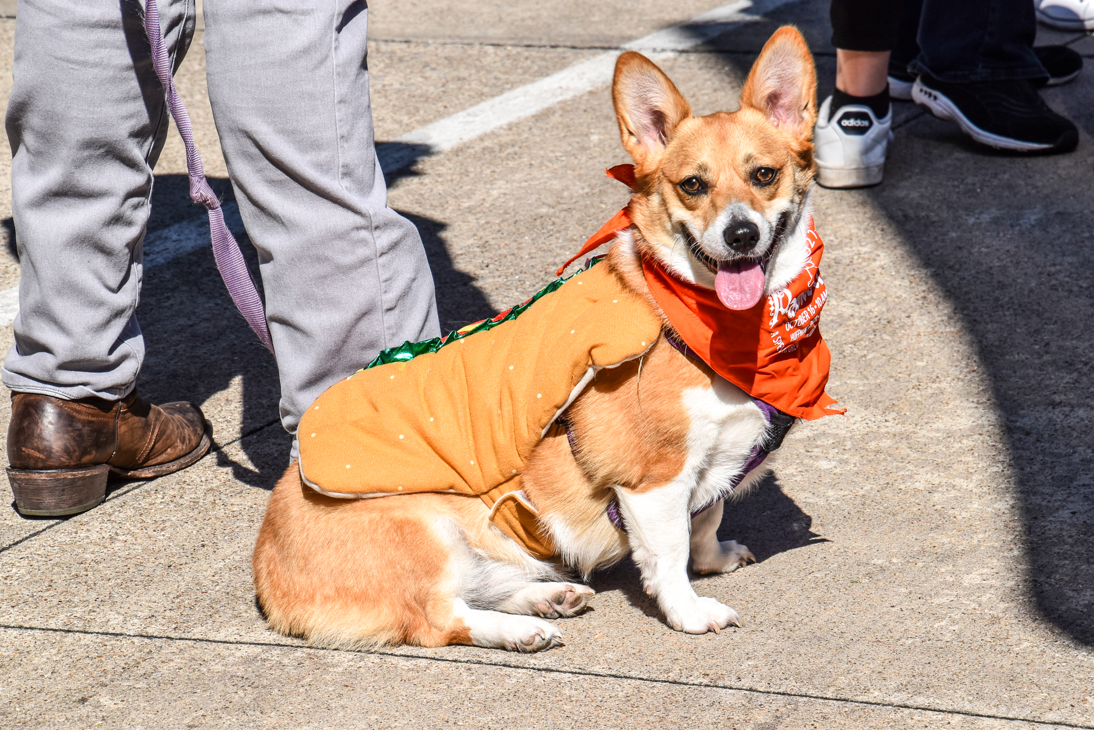 Pawtoberfest Costumes